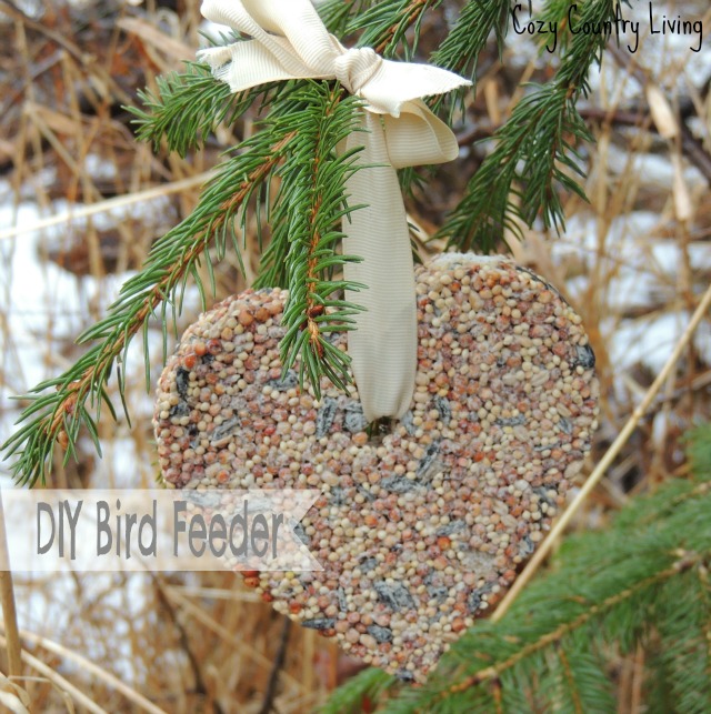 DIY Bird Feeder | Cozy Country Living