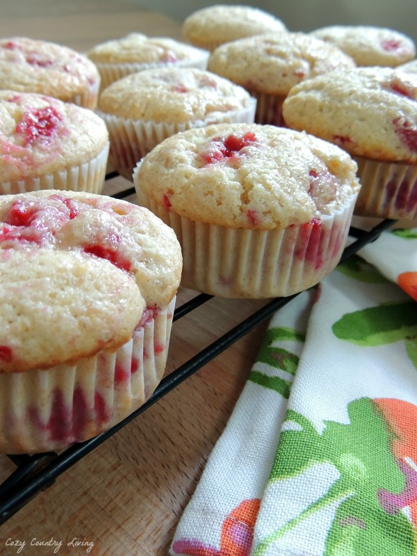 Fresh raspberry muffins