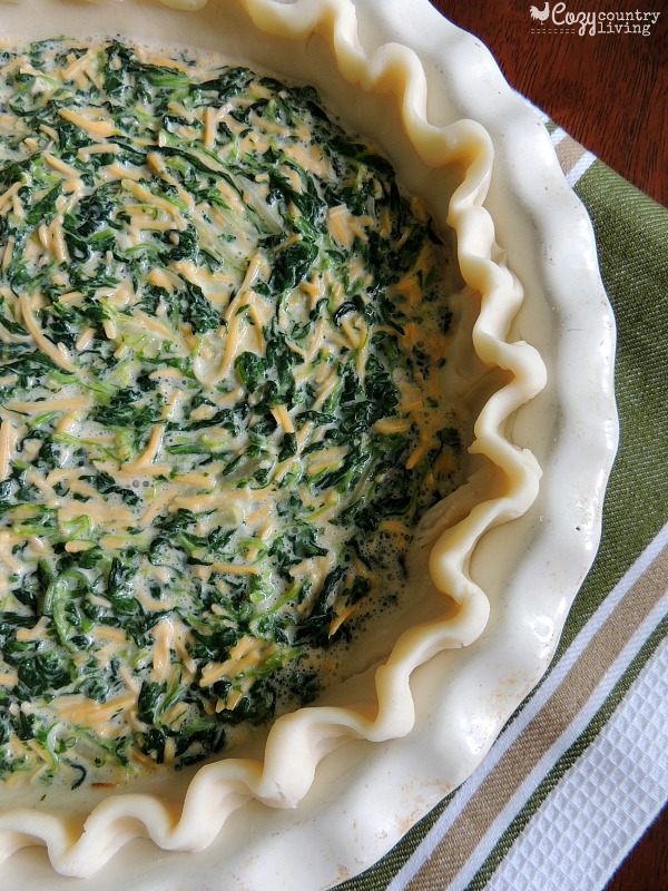 Easy Cheddar and Spinach Quiche, Chopped spinach is blended with eggs and Sharp Cheddar Cheese then baked in a pie crust for a tasty and filling meal that can be on your table in a little over 30 minutes.
