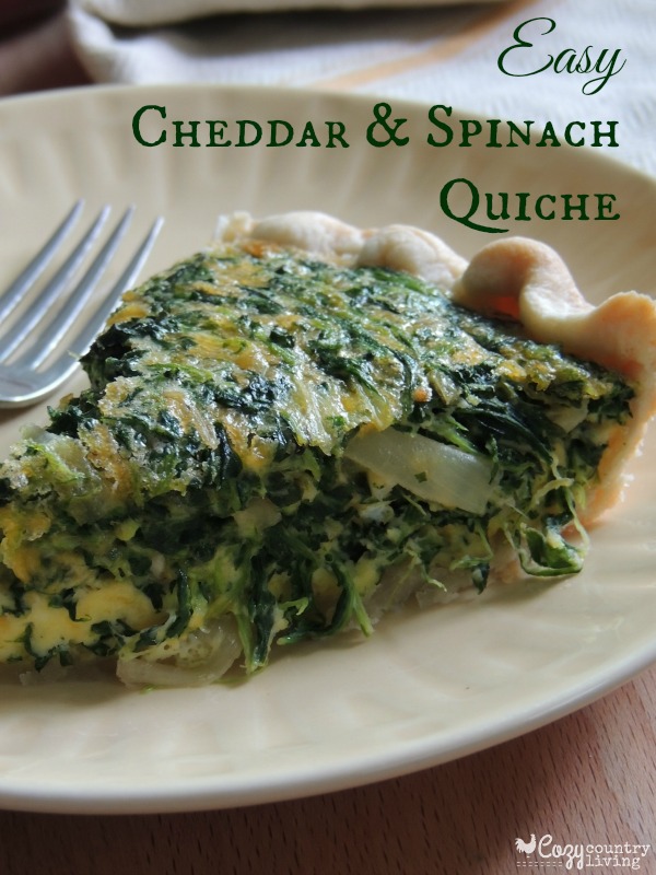 Easy Cheddar and Spinach Quiche, Chopped spinach is blended with eggs and Sharp Cheddar Cheese then baked in a pie crust for a tasty and filling meal that can be on your table in a little over 30 minutes.