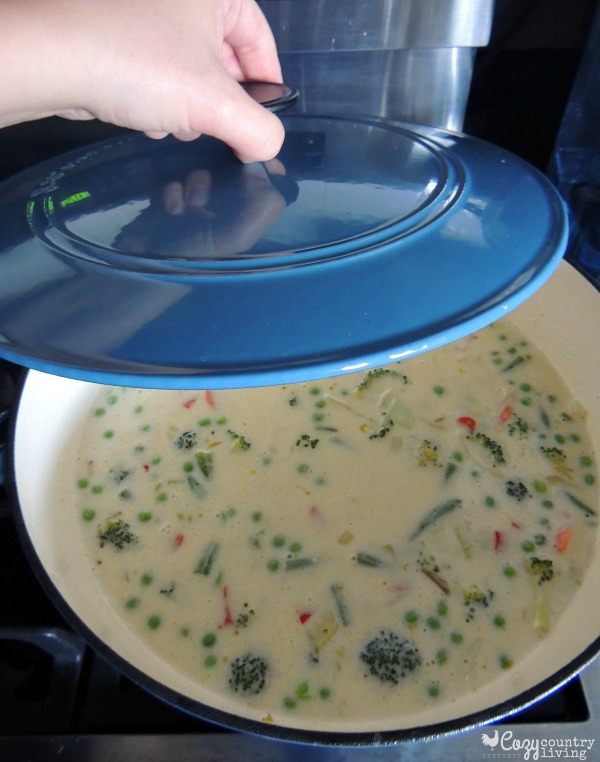 Cheesy Chicken and Vegetable Soup, Tender chicken is mixed with a variety of sauteed vegetables in a creamy Cheddar cheese to give you a warming soup your family will love.